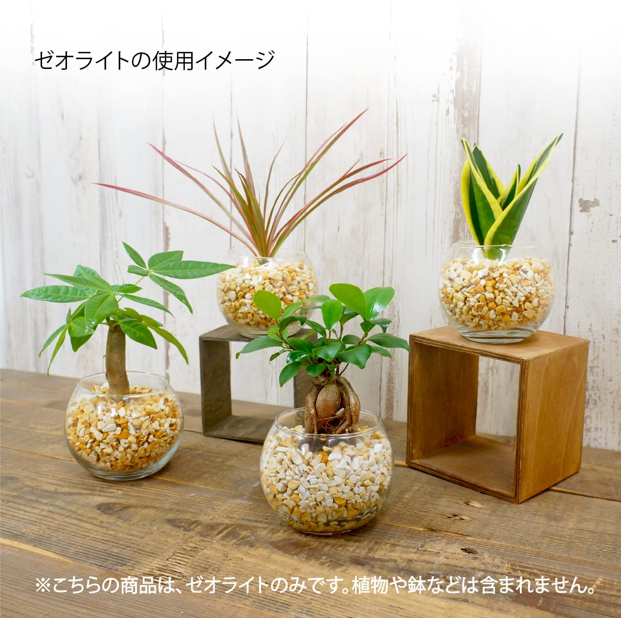 Amazon | ゼオライト 2L 中粒 簡易包装 | 用土