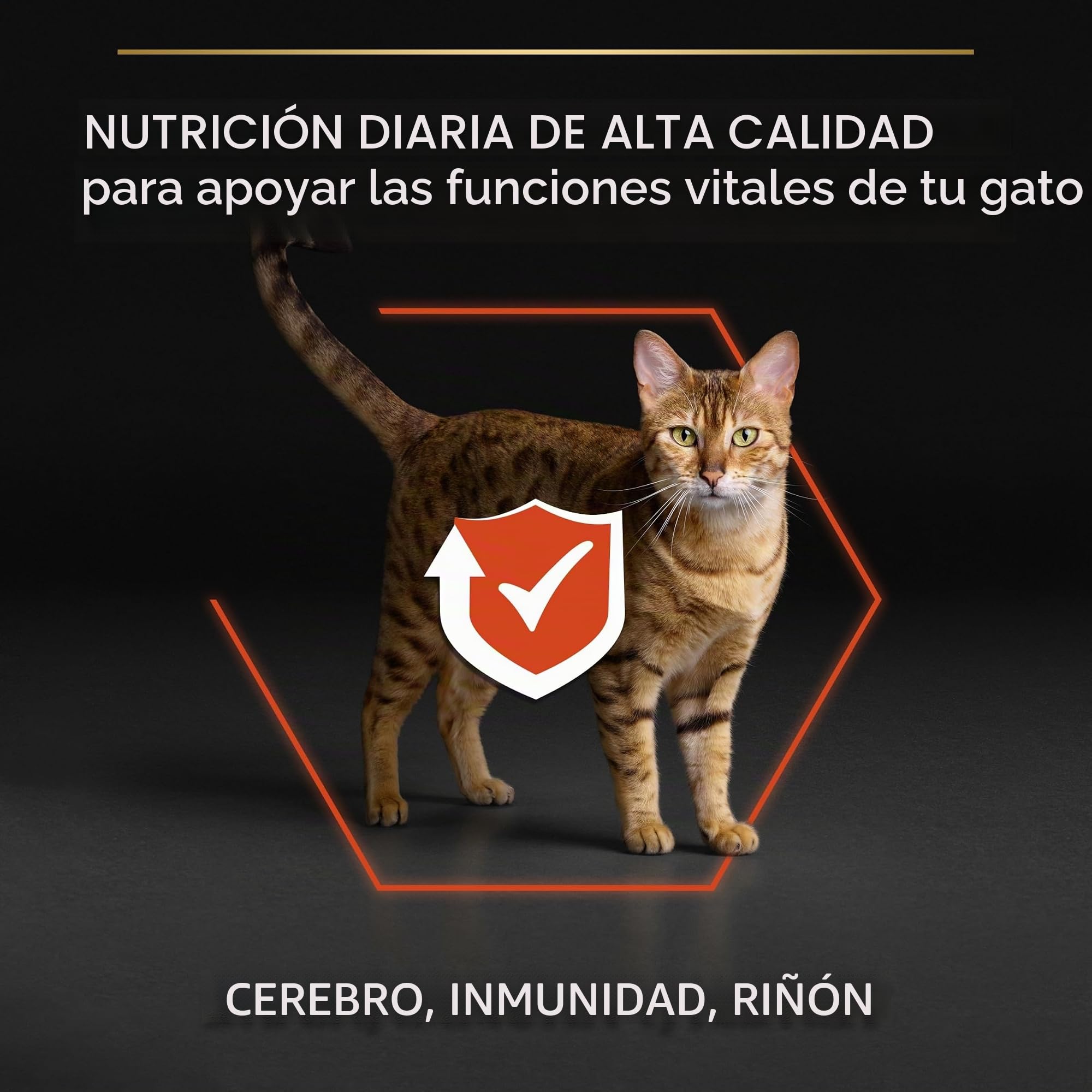 PRO PLAN Cat ADULT with OPTIRENAL Rich in Salmon, 10kg