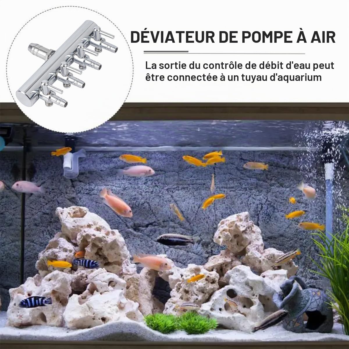 Répartiteur d'air Réglable en Acier Inoxydable pour Aquarium Valve Anti-Retour Entrée 8 mm Sortie 4 mm Séparateur De Flux d'air pour Aquarium pour Aquarium D'aquaculture Boîte à Poissons (4 Voies)