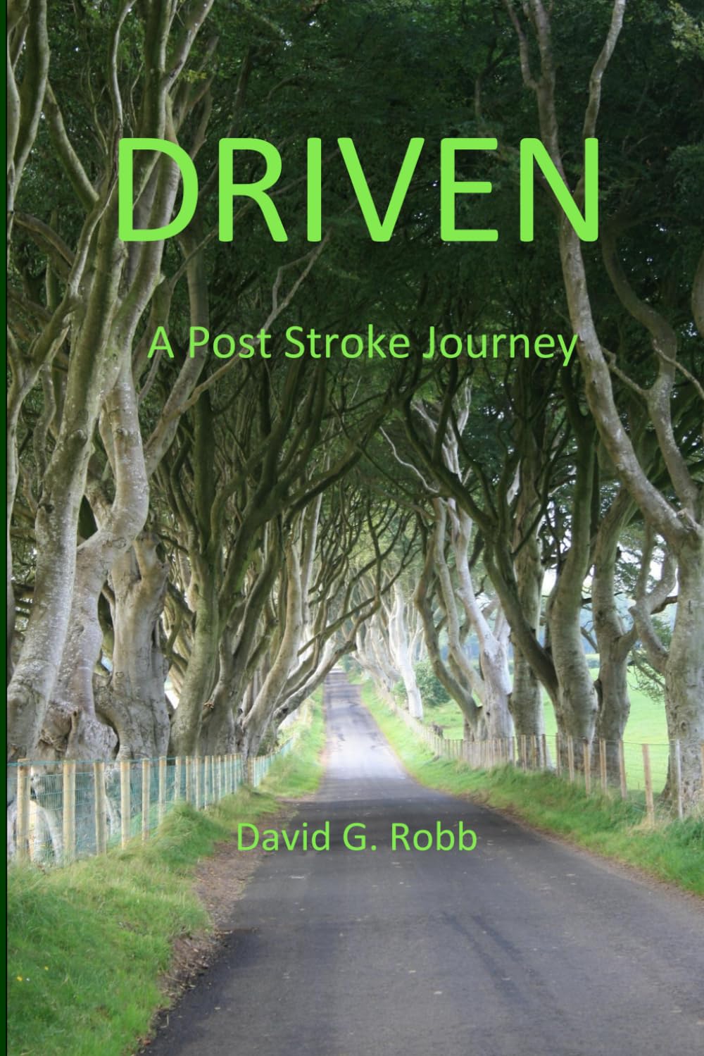 Driven: A Post Stroke Journey