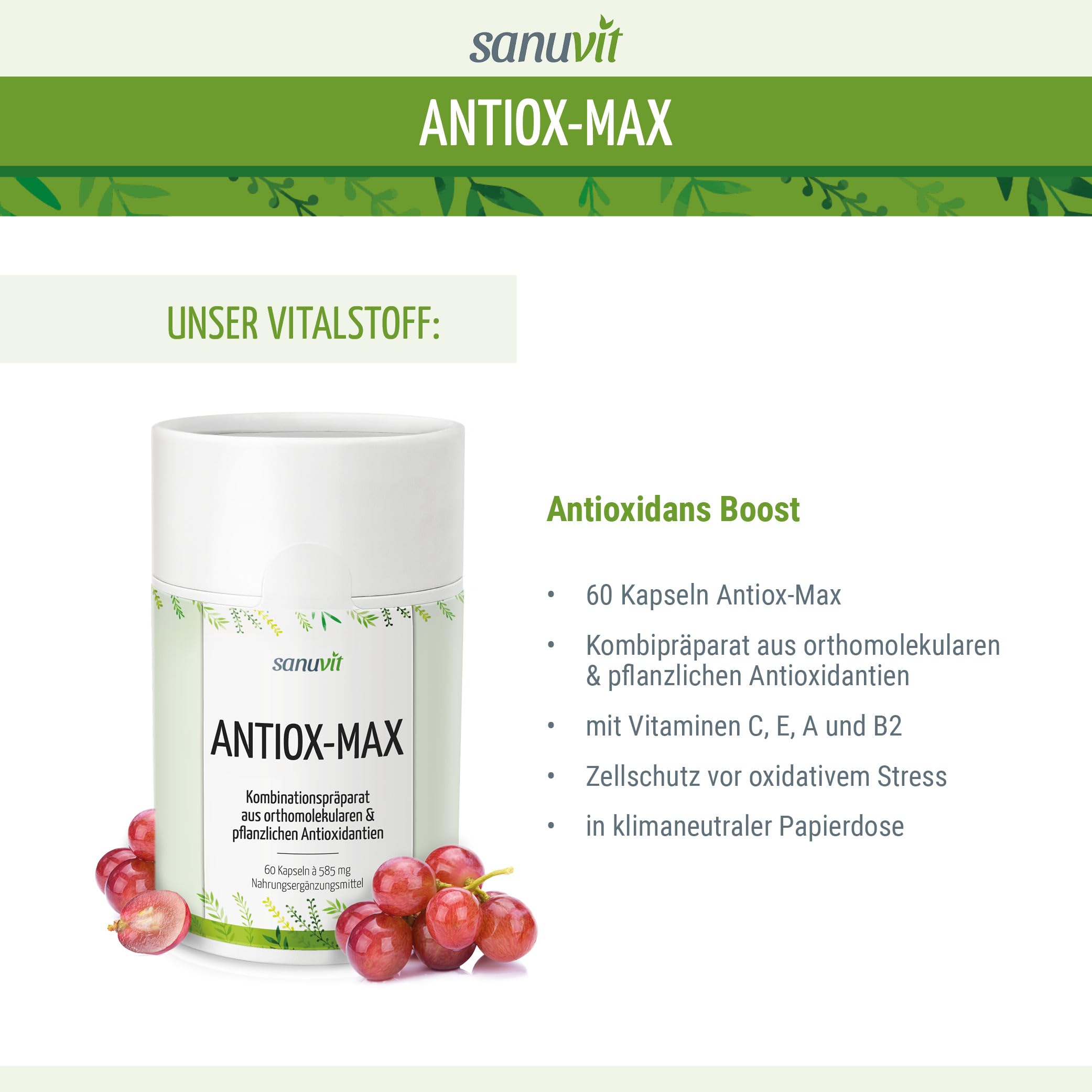 Sanuvit Antiox-Max 60 Kapseln - Reinstoffprodukt direkt vom Hersteller (hypoallergene Manufaktur)
