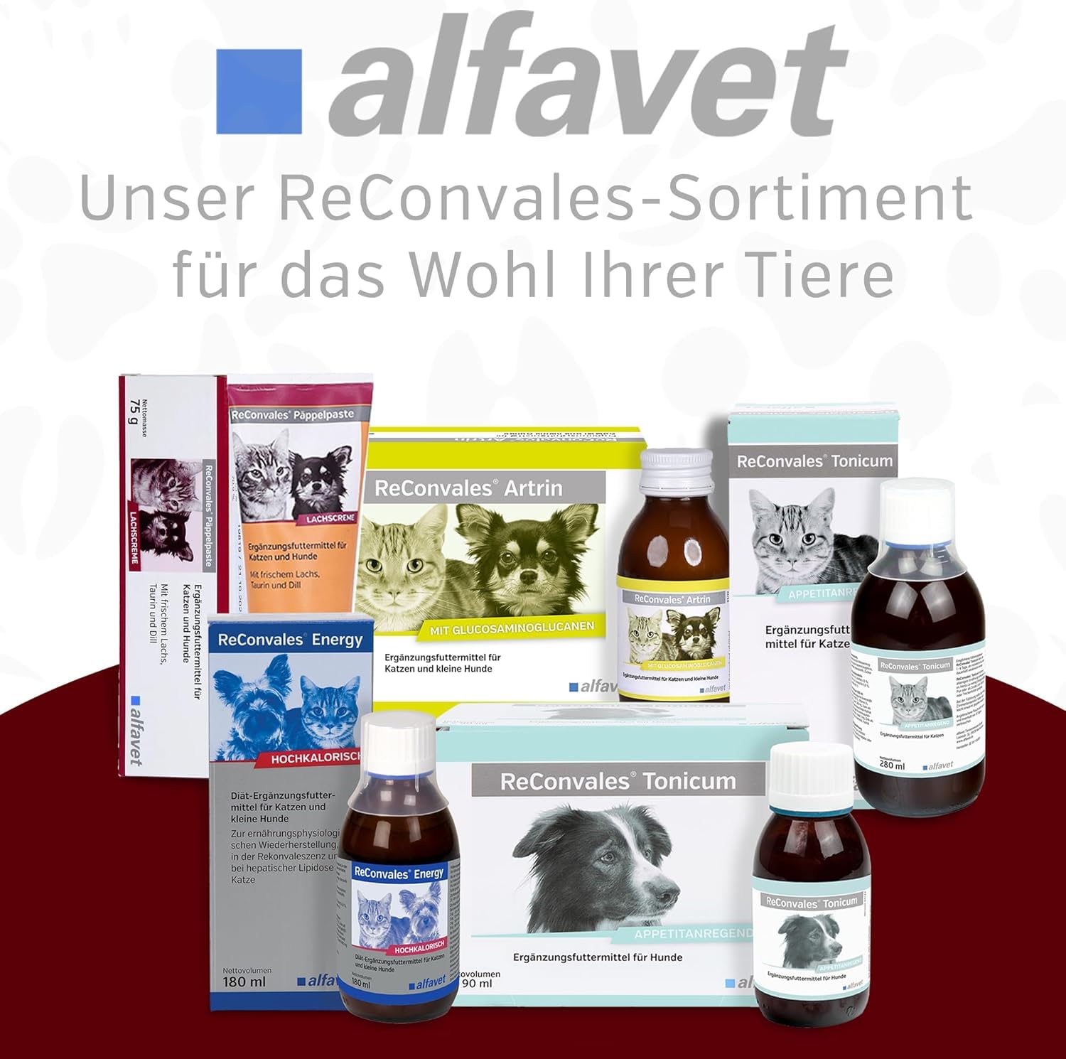 Alfavet ReConvales Päppelpaste - Crema de salmón - Pienso complementario para Perros pequeños y Gatos - 3 x 75g