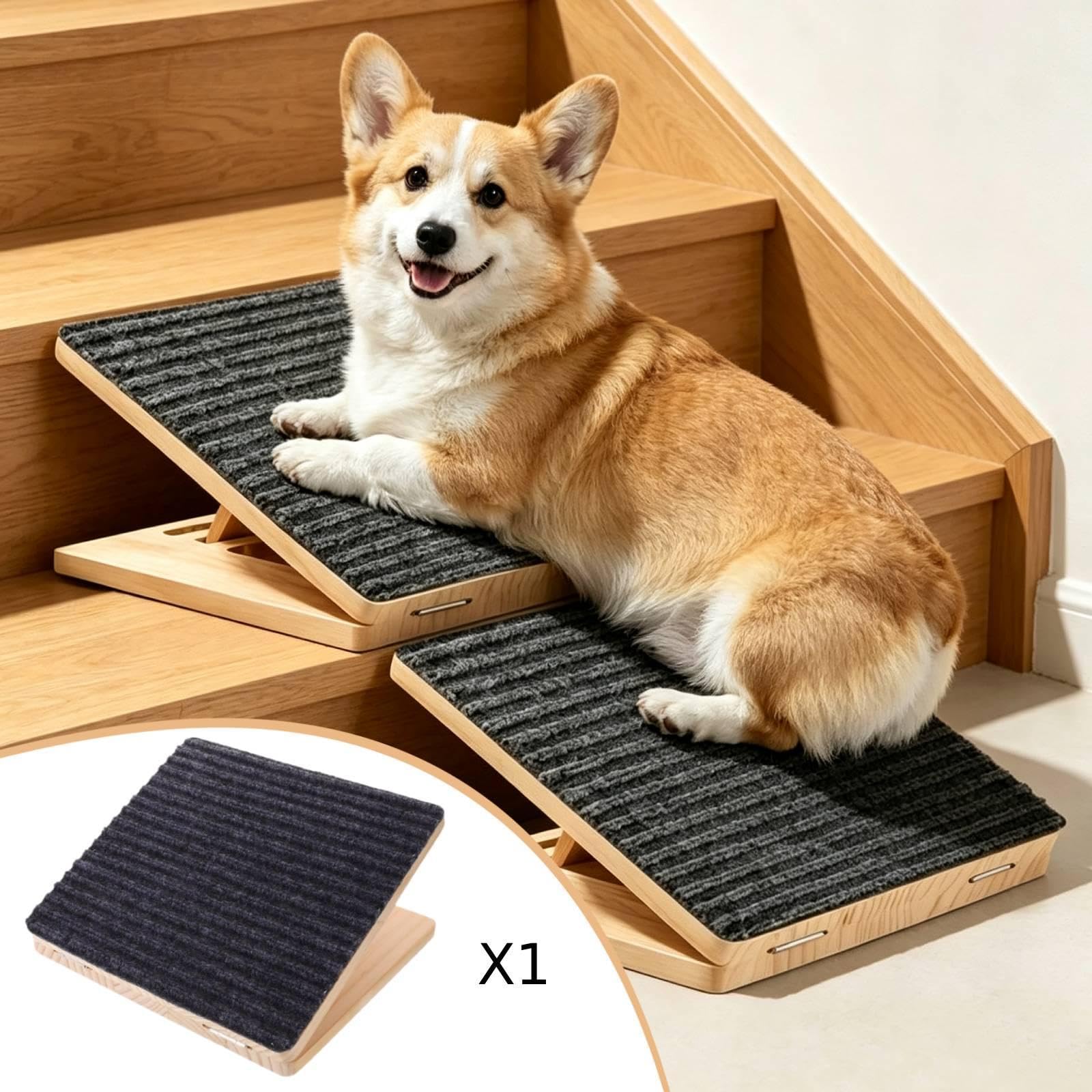 Generic Rampa Regolabile per Cani, Adatta, Ideale per Cani Anziani E con Zampe Corte.