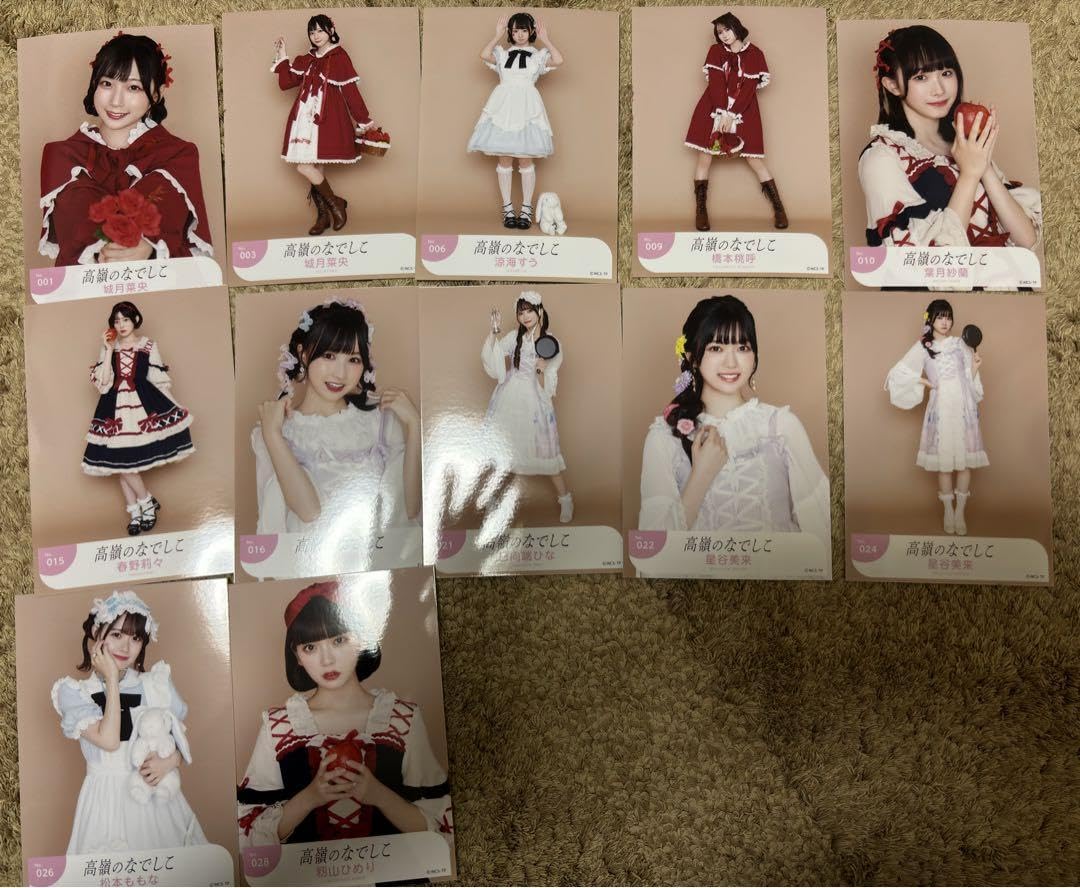 Amazon.co.jp: 高嶺のなでしこ 生写真セット 2023ハロウィンver