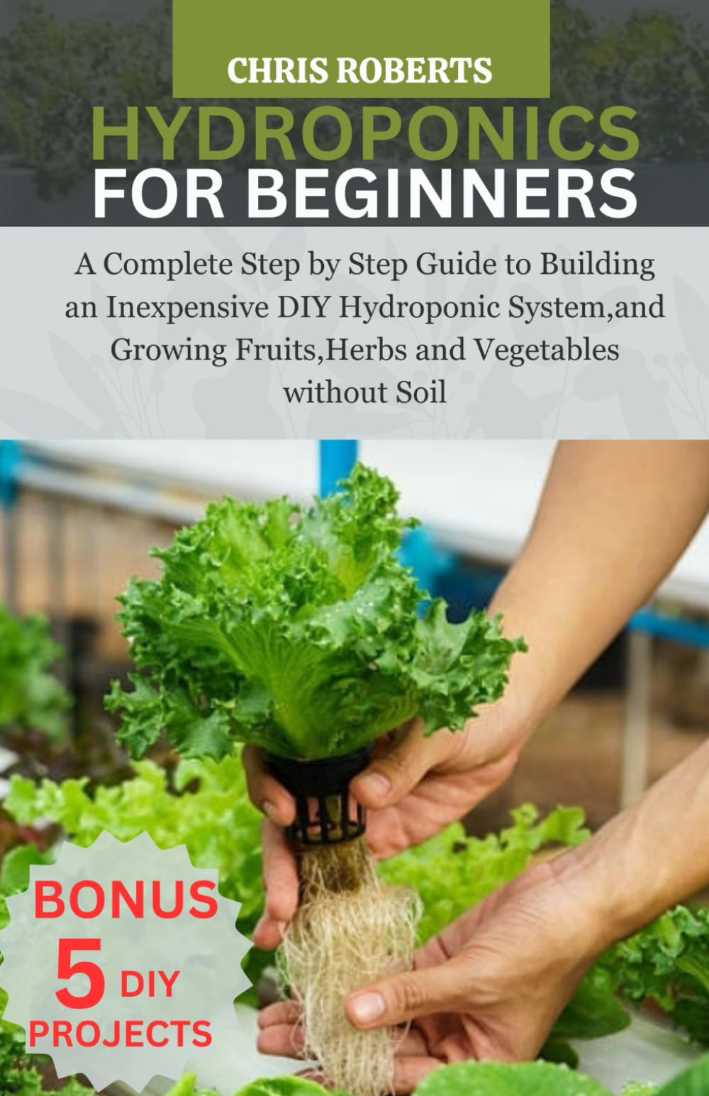 Hydroponic Plans For Beginners A Primer On Hydroponic Gardening Grow