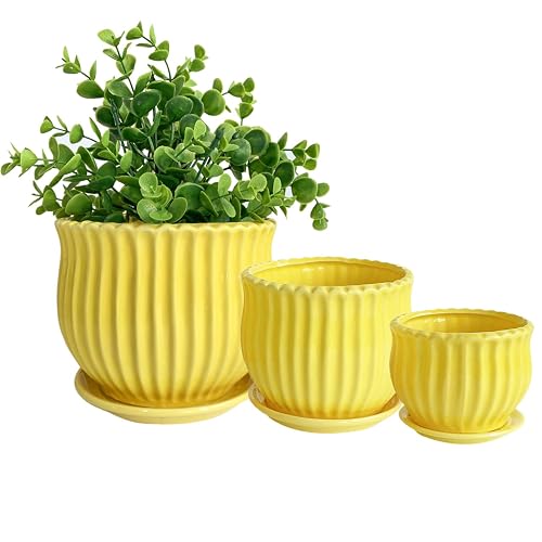 Yellow Ceramic Flower Pots with Saucers, Modern Round Ceramic Succulent