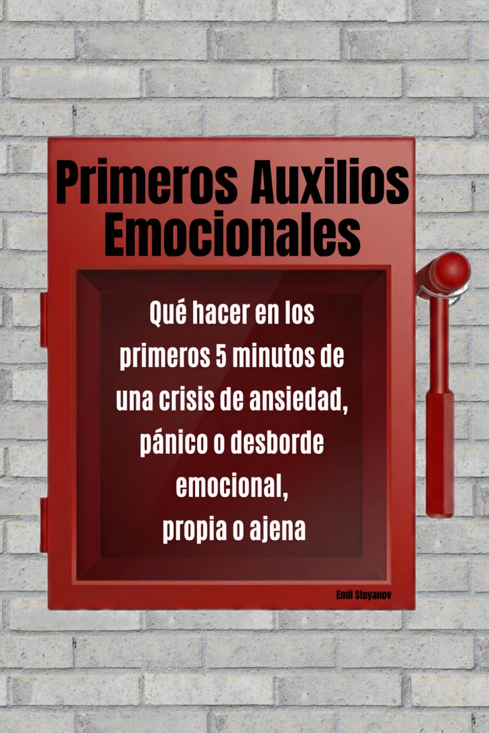 Primeros Auxilios Emocionales: Qué hacer en los primeros 5 minutos de una crisis de ansiedad, pánico o desborde emocional, propia o ajena
