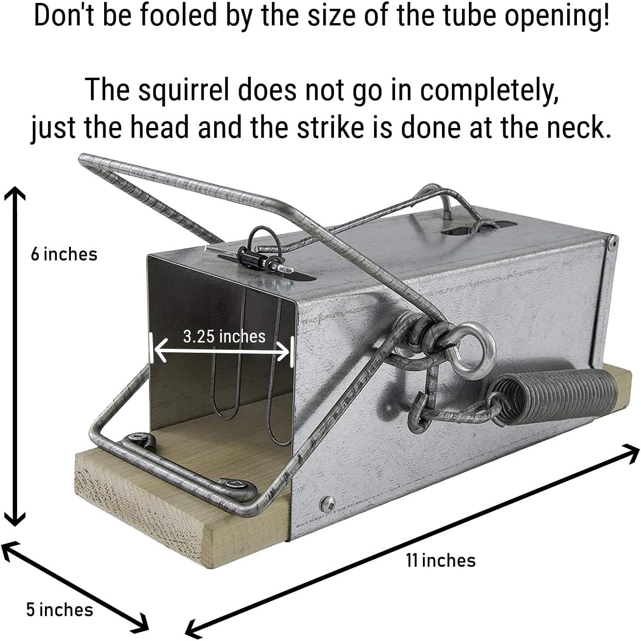 Big Squirrel Trap Indoor Outdoor – Medium Rodent Trap – Ouell Traps – Black and Grey Squirrels – QAI - OUELL not Quell – Most Powerful Trap