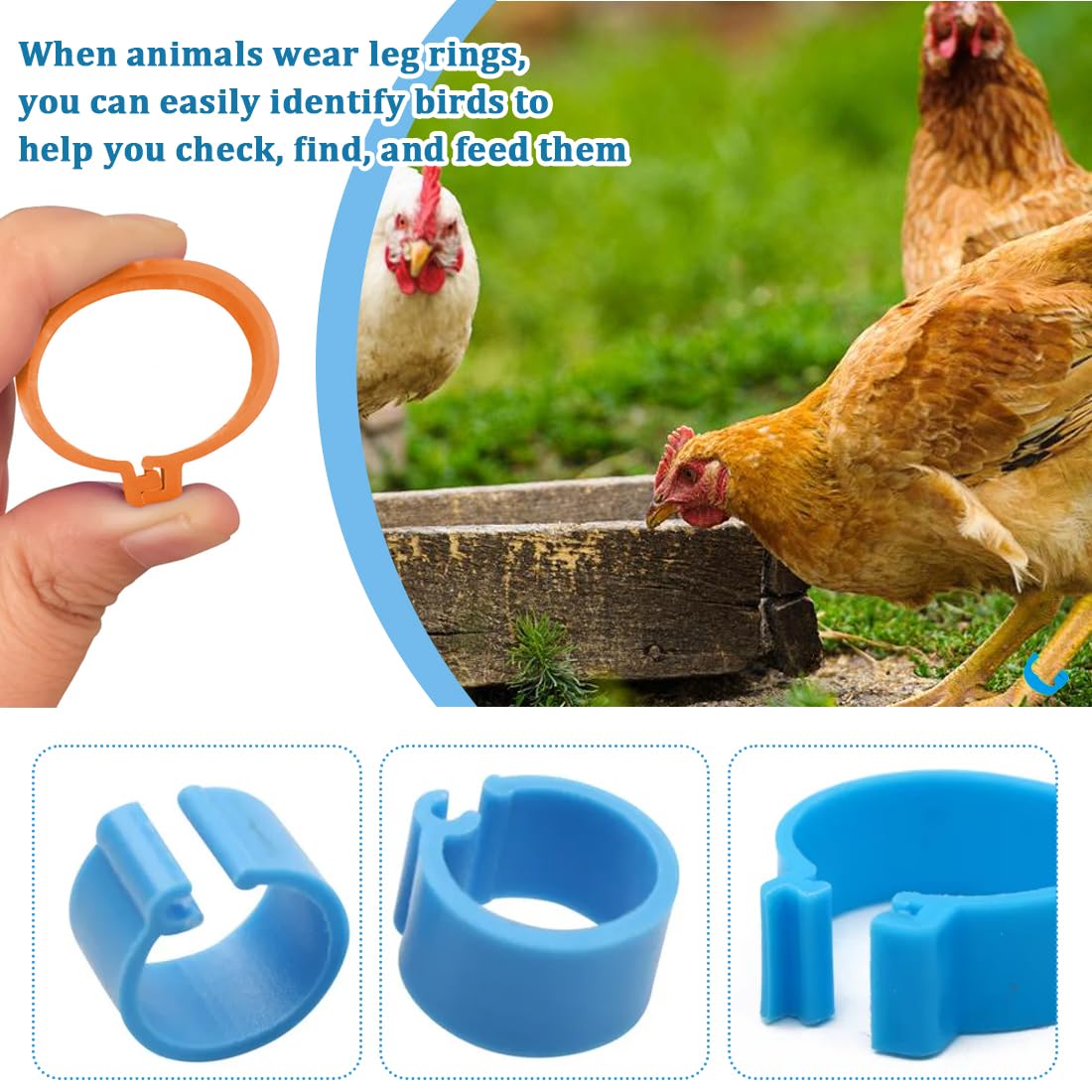 Anillos de plástico para patas de pollo 8mm 10mm 16mm