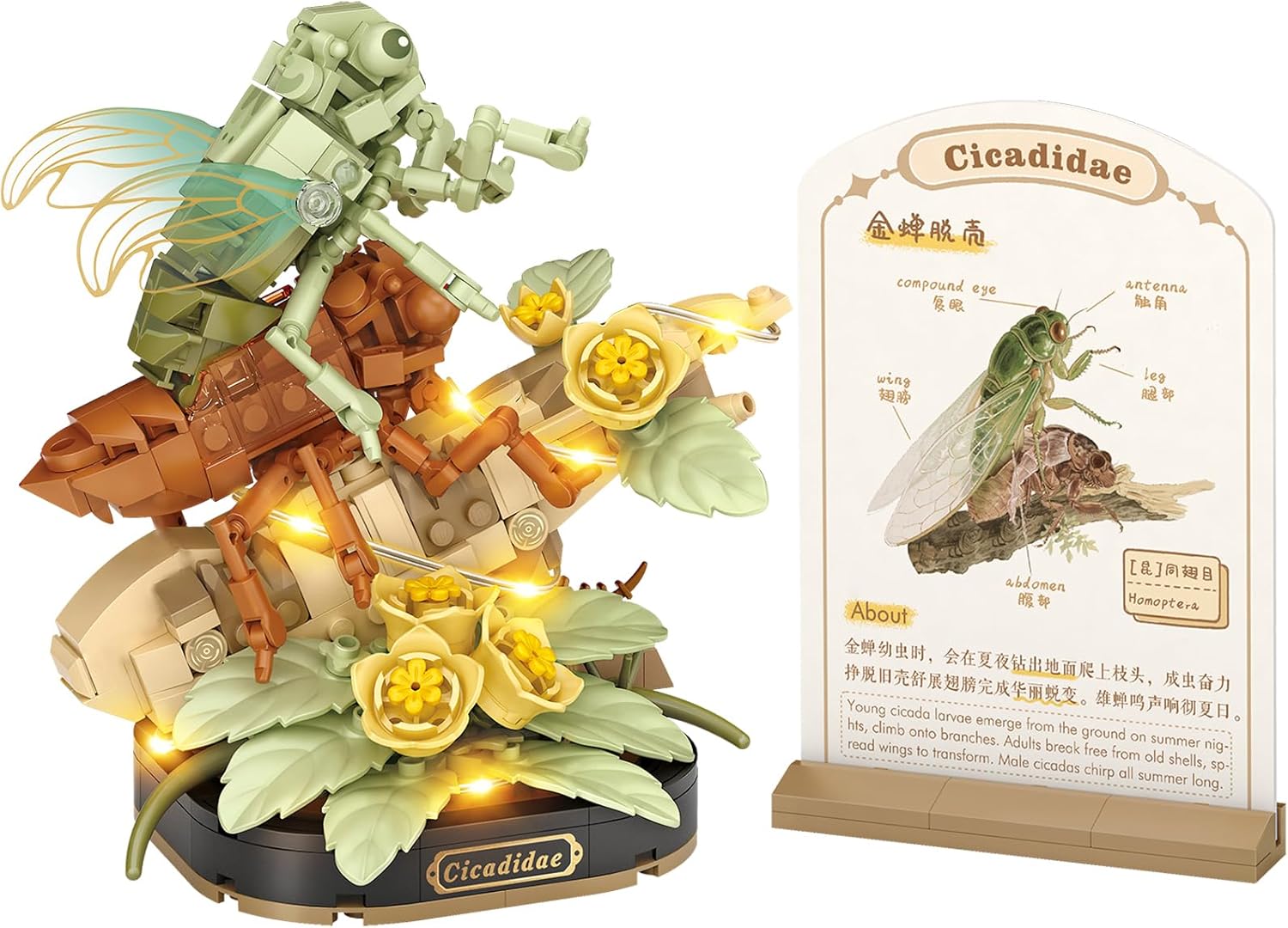 MEIEST Insect Flower Building Blocks Set,Colorful Construction Building Bricks Toy with a Science Popularization Card,Creative Home Decoration (Cicada)