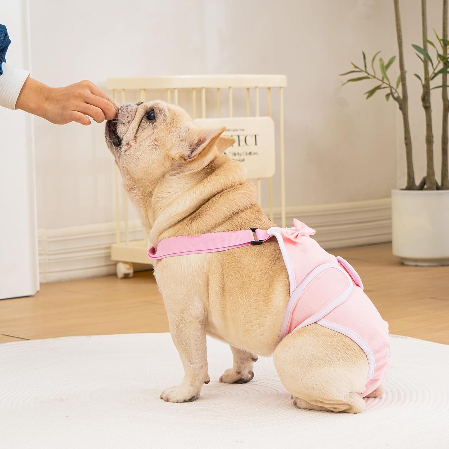 Avont 3 Pack Frenchie Dog Diapers Female, Washable Reusable Girl Doggie Pants for Period Heat Cycle, Full Body Cover Onesie with Adjustable Straps -Pink/Purple/Blue L