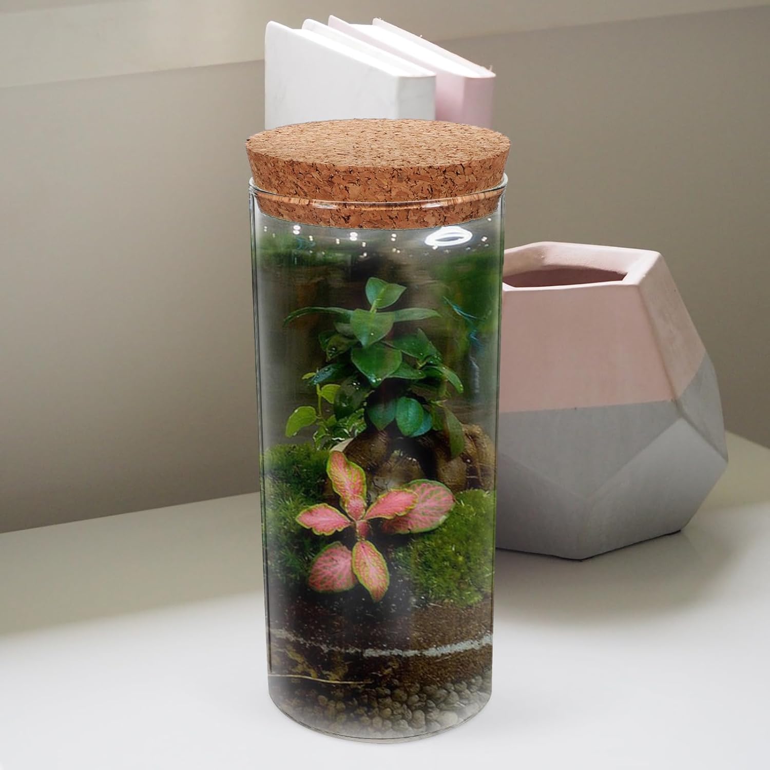 BESPORTBLE 3pcs Hydroponic Terrarium Glass Planter Bottle Lid for Indoor and Outdoor Plant Decoration Landscape Holder for Moss and Plants Height