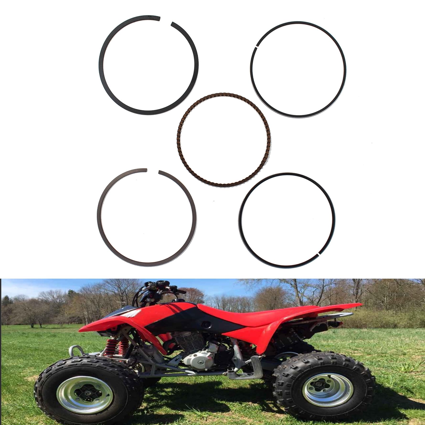 74mm Piston Rings For Honda Fourtrax 300 &amp; TRX300EX Sportrax