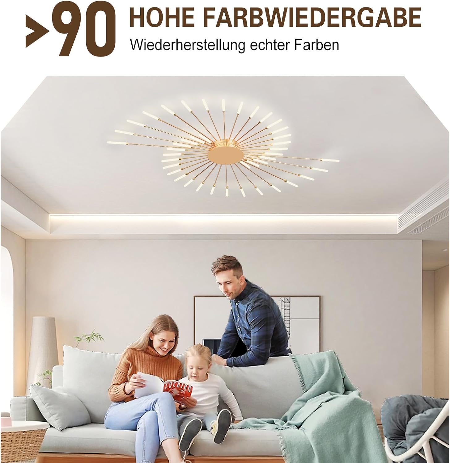 Modern Ceiling Light Flower Shape, Metal Firework Ceiling Lamp with Plug-in LED Source, Lighting Fixture for Living Room Dining Room Bedroom, Natural Light