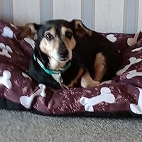 E4Emporium Pet Dog Bed Cushion Xl Size With Replaceable & Washable Zip