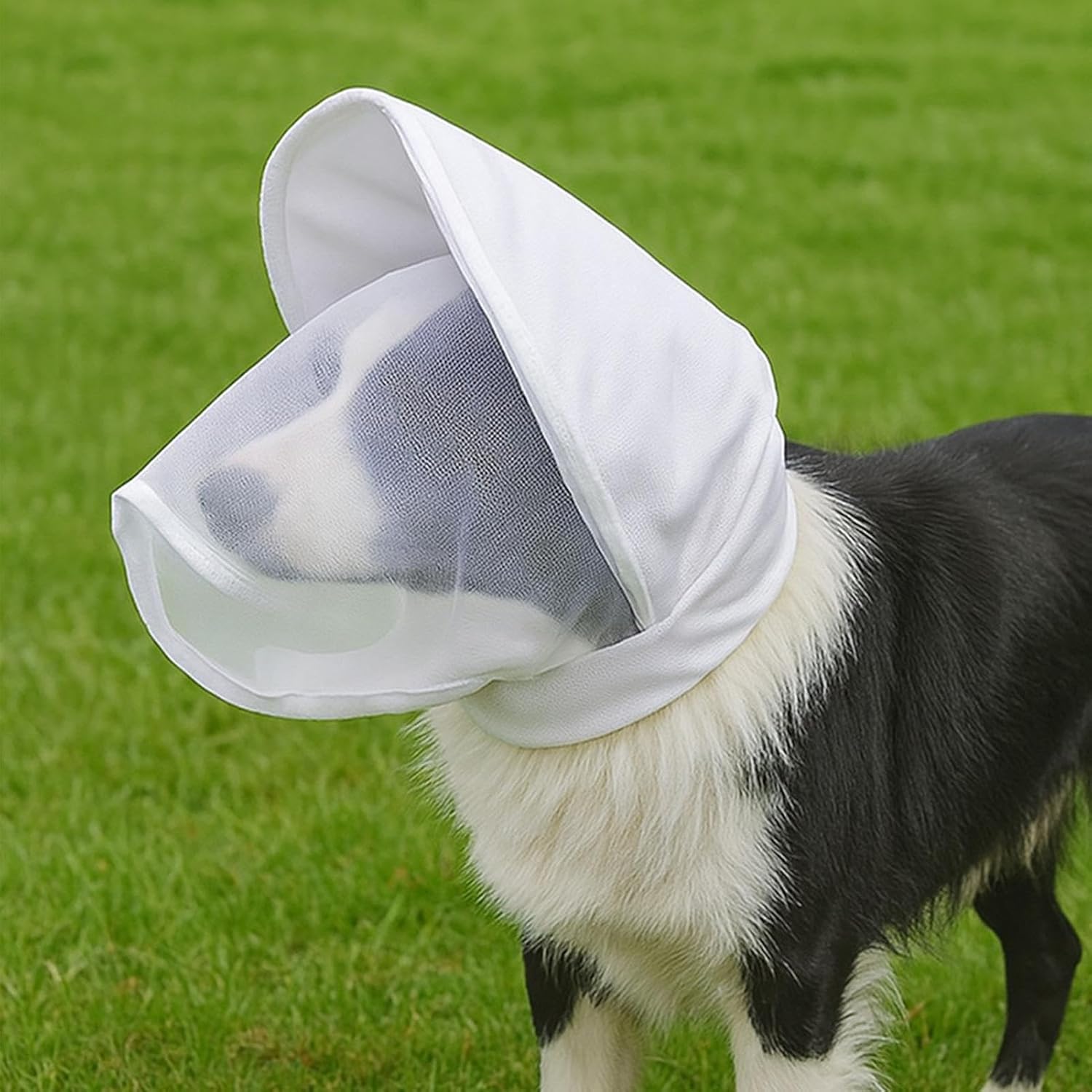 Réseau pour la tête de chien, respirant, réglable, protection de la tête en tissu maillé pour les chiens en plein air – pour les races petites et moyennes, les chiots, les voyages, les activités de