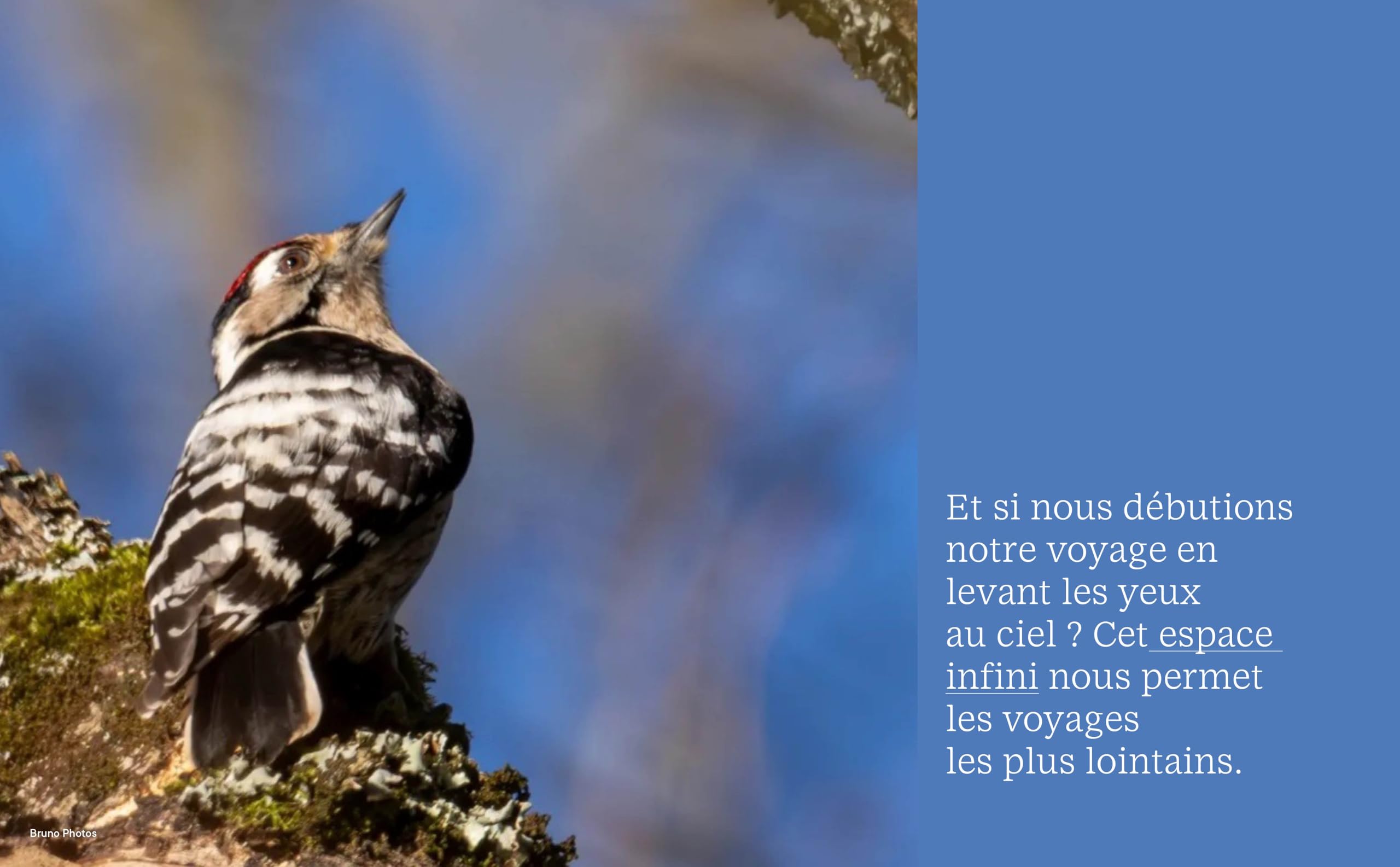Notre jardin extraordinaire T02: Safaris insoupçonnés près et loin de chez vous