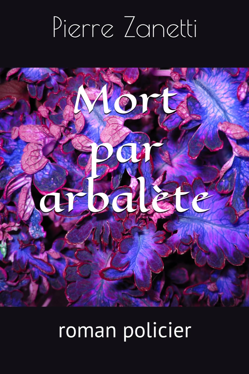 Mort par arbalète: roman policier (les enquêtes de Dubarry et Castagnier)