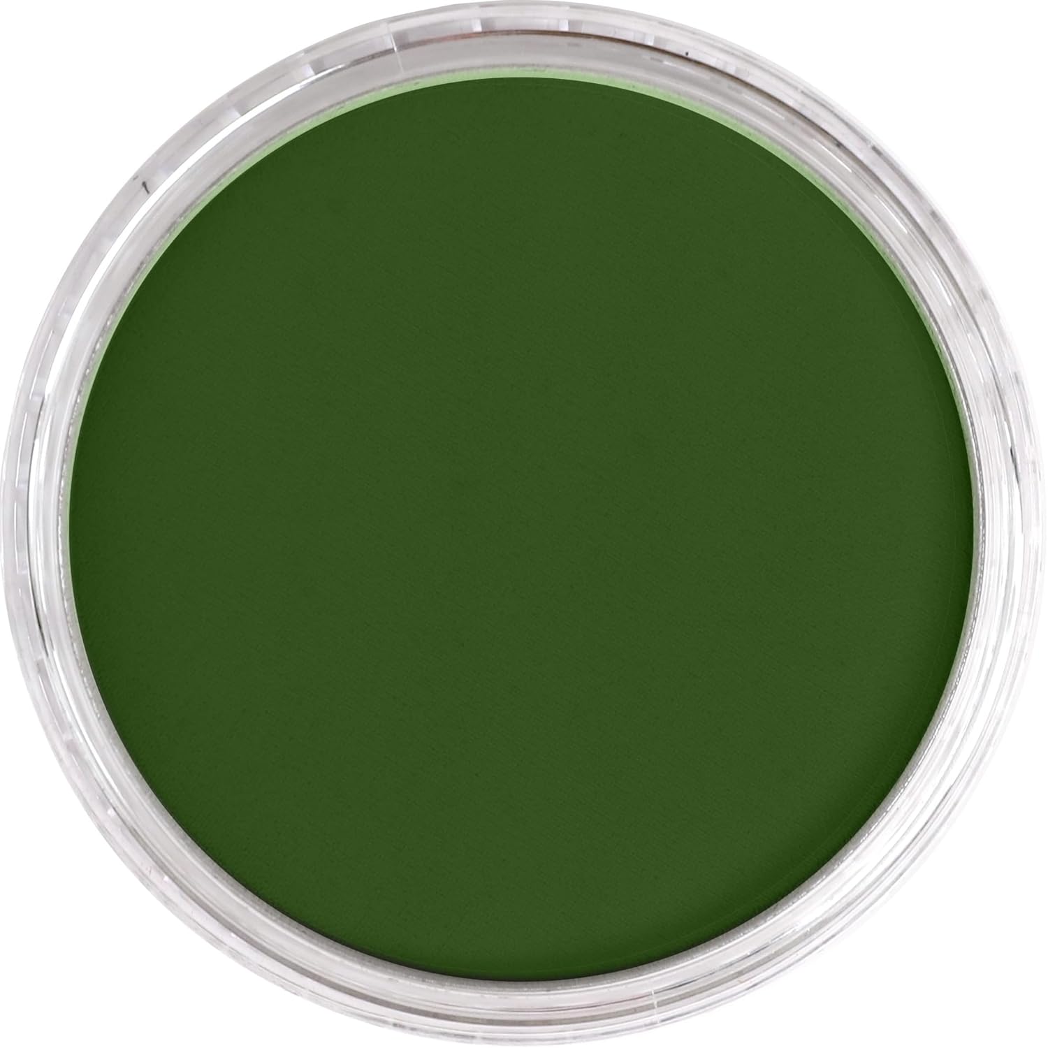 PanPastel Artist Pastels by GOLDEN, Chromium Oxide Green, 2.44” / 62mm Pan Diameter, Professional Artist Pastels, Unique Pan Format (cake-like)