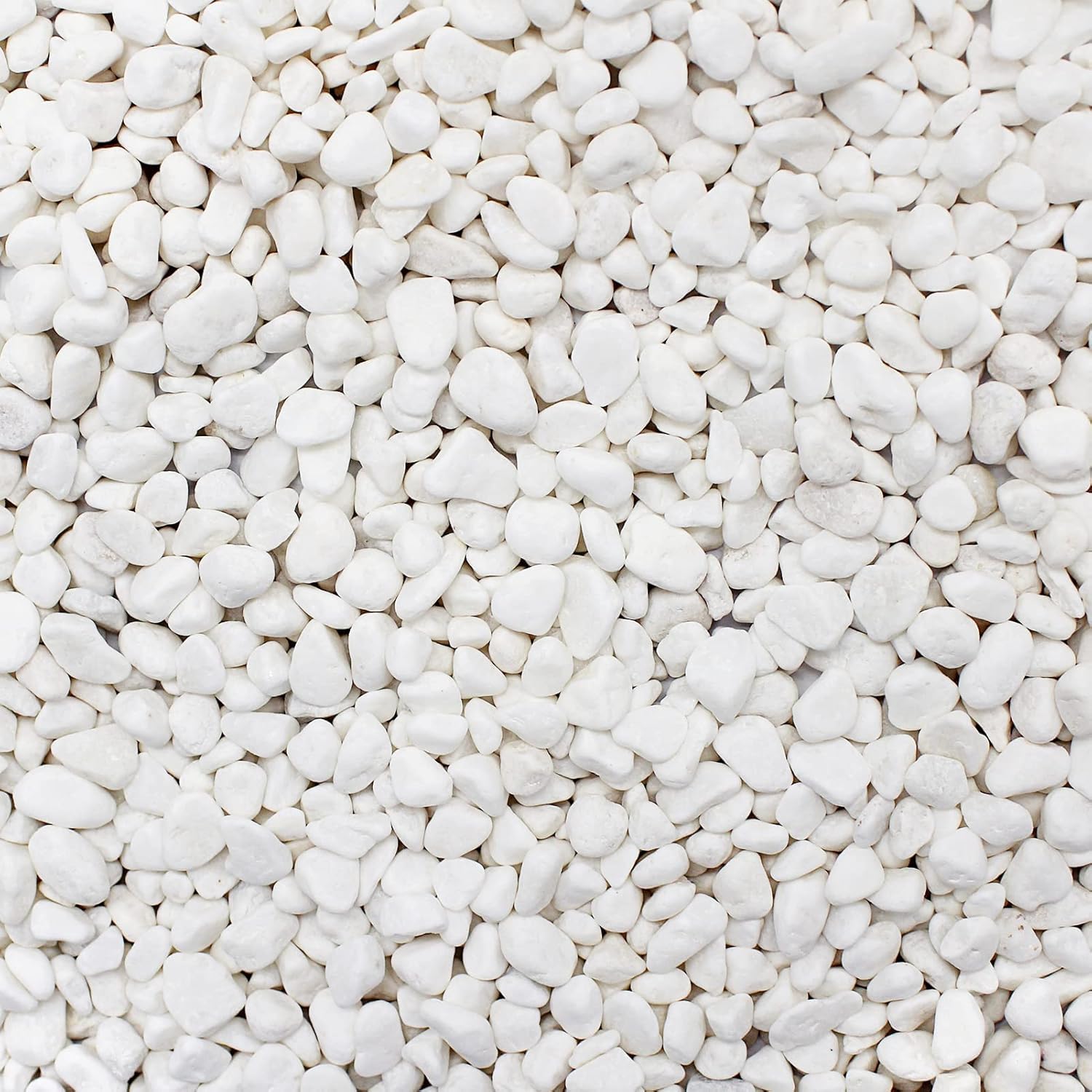 Pietre Decorative Bianche, Piccola Ghiaia da Giardino, Ciottoli di Fiume in Granuli per Acquario, Vaso di Fiori, Riempimento di Vasi e Decorazione del Giardino 9-12 mm (1kg/2.2 lbs)