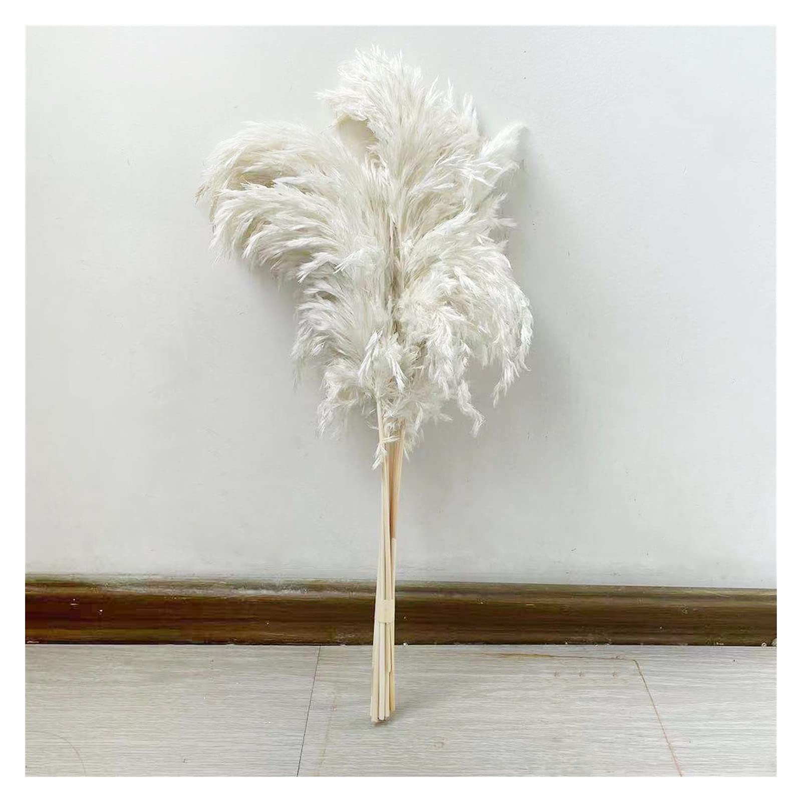 YANGQI Yaoqijie Herbe de pampa séchée de grande taille pour mariage ou décoration d'intérieur - Couleur : blanc - 20 tiges - Taille : L