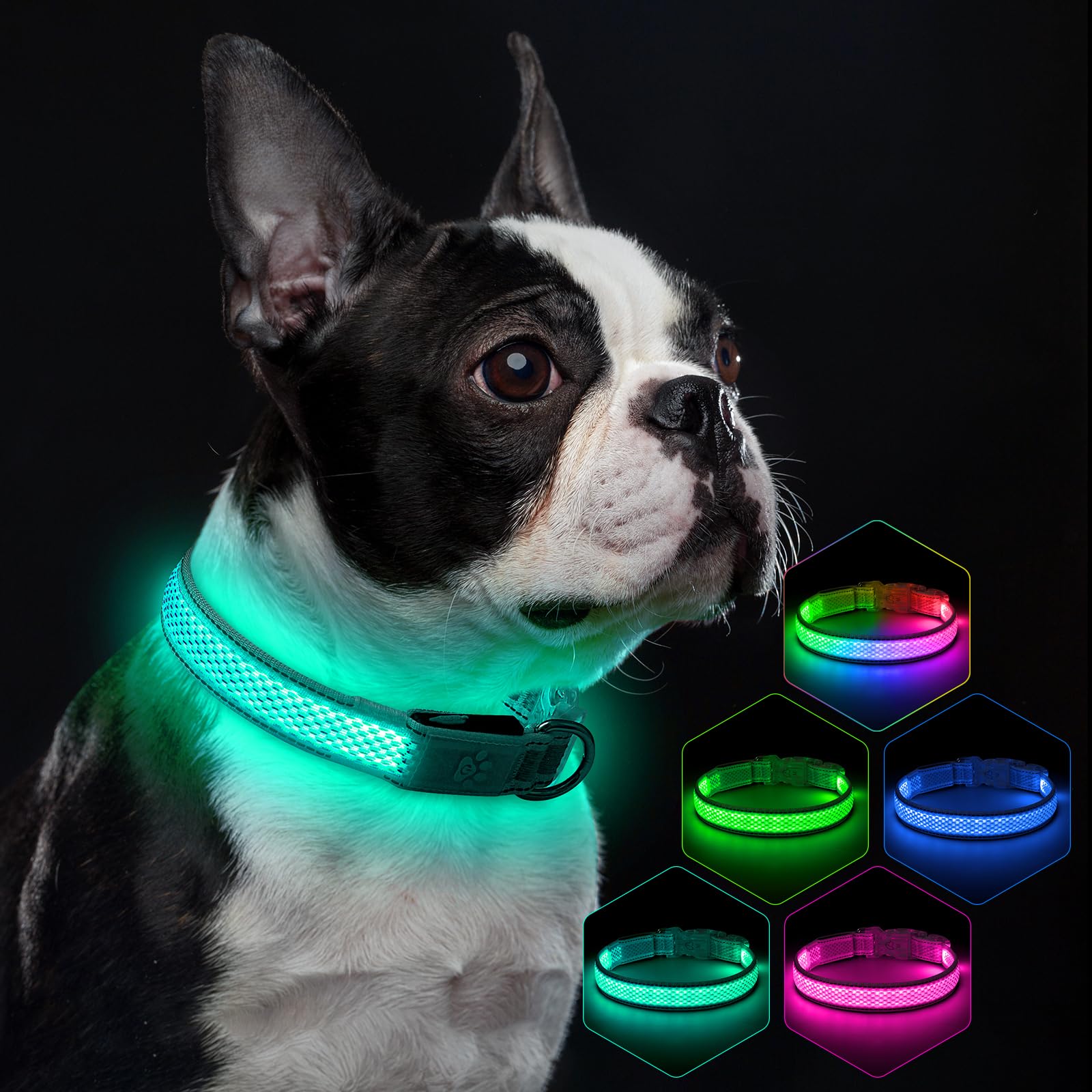 Light up Dog Collar, Multi-Color LED Dog Collar RGB 9-Mode, USB Rechargable