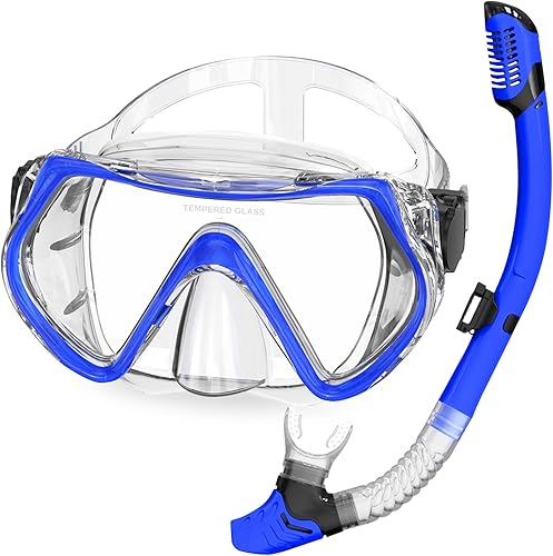 Juego de esnórquel para adultos, kit de esnórquel seco, máscara de buceo antifugas y esnórquel seco, máscara de buceo con vista panorámica de 180