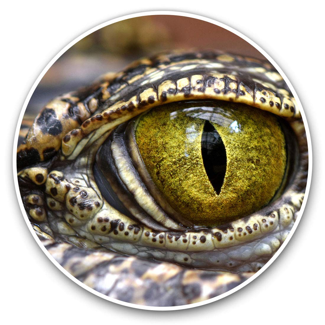Vinyl Stickers (Set of 2) 7.5cm - Crocodile Alligator Eye #14173