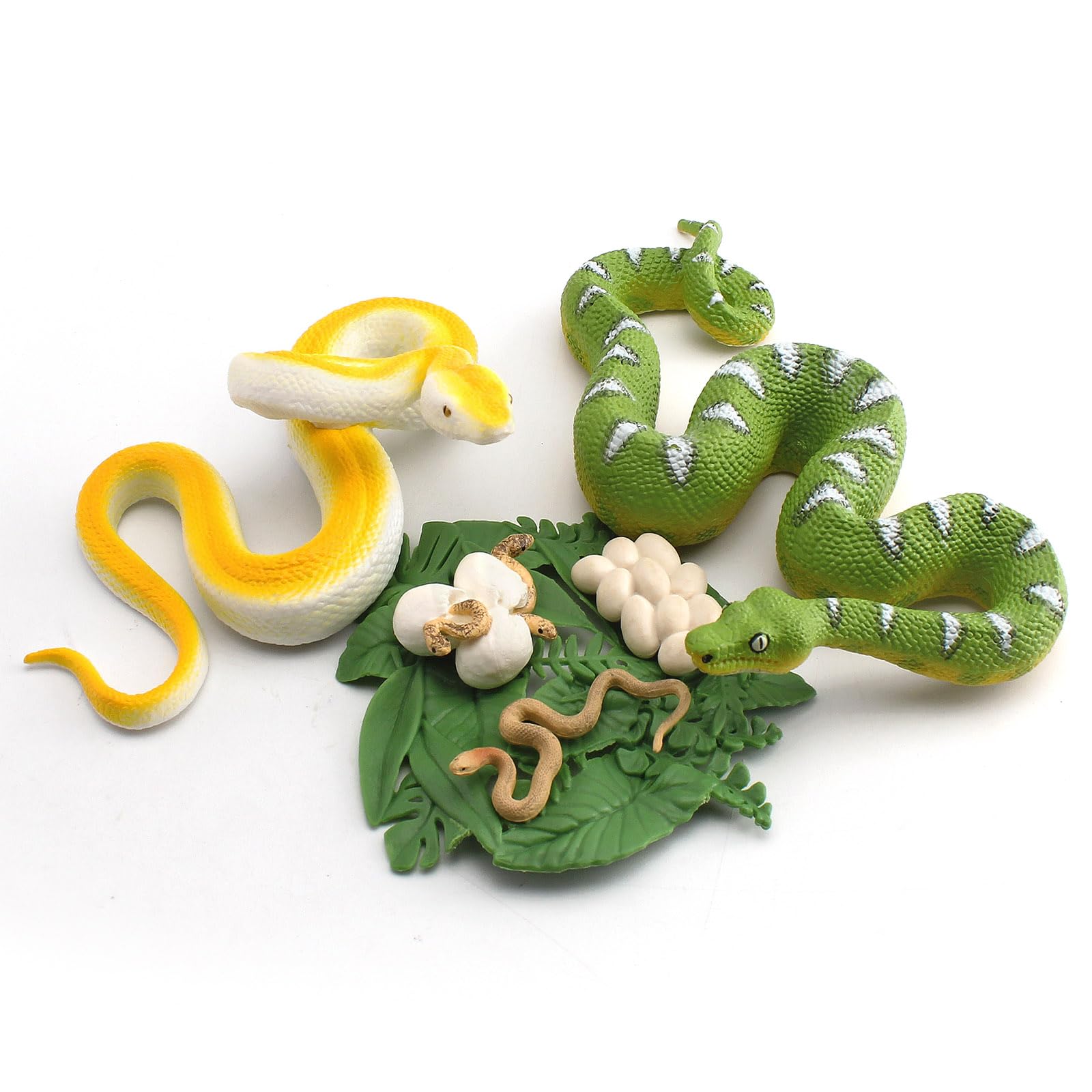 6PCS 6.5Inch Plastic Realistic Emerald Tree Boa Constrictor Figurine Python Figurine Solid Snake Figures Cobra Life Cycle With Leaves Diorama Supplies Party Favors Cake Topper For Boys Girls Kid