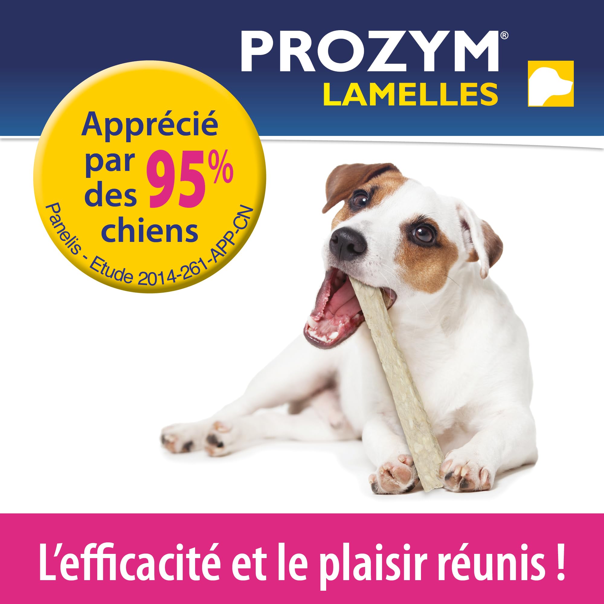 Prozym 15 Lamelles pour Chiens - Soin Dentaire à mâcher - N°1 chez Les vétérinaires - Haleine fraîche - Anti-tartre - Anti-Plaque - Gencives saines (L)