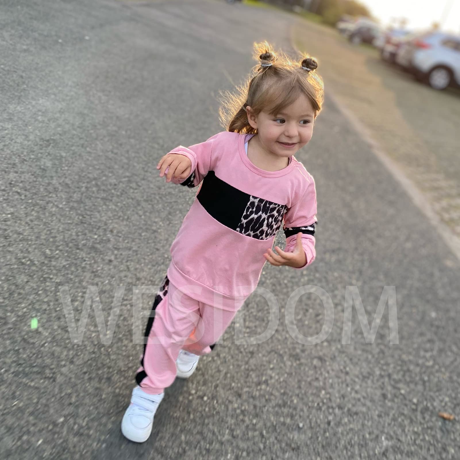 WESIDOM Conjunto de ropa para bebé, 2 piezas, ropa de otoño de manga larga, conjuntos de suéter para niña pequeña, Rosa y leopardo, 2-3T