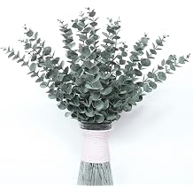 HanYun 36 Pack 15 Inch Eucalyptus Artificial Plant Green Plants Eucalyptus Leaves Decoration Eucalyptus Branches for Party Table Decoration Wedding Holiday Decorations Flower Arrangement