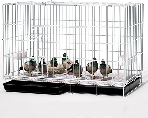 Vogelkäfig Aus Metall - Voliere Für Tauben, Papageien & Sittiche 50x47x50cm