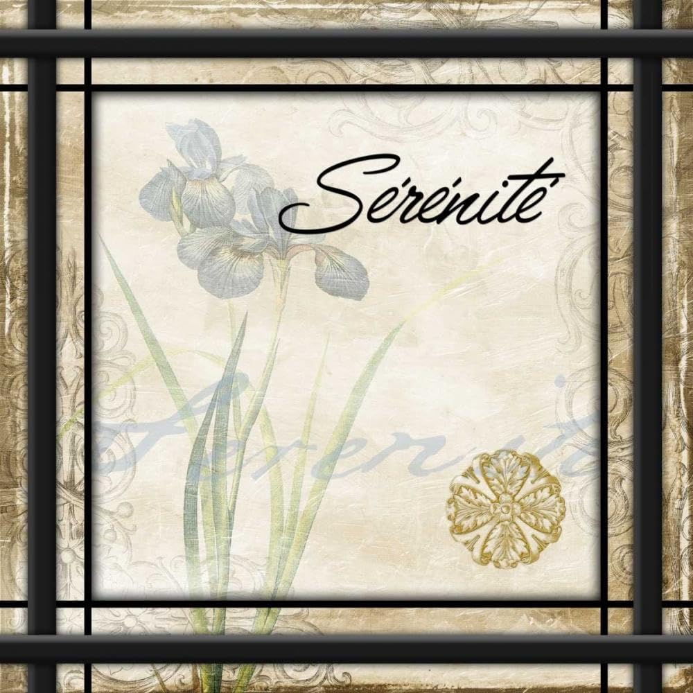 ArtDirect Serenite Unframed Art Print Giclee Poster by Grey, Jace - Ready for Framing with Customization Sizes 8x8, 11x11, 16x16, 24x24, 36x36, and 48x48 Inches