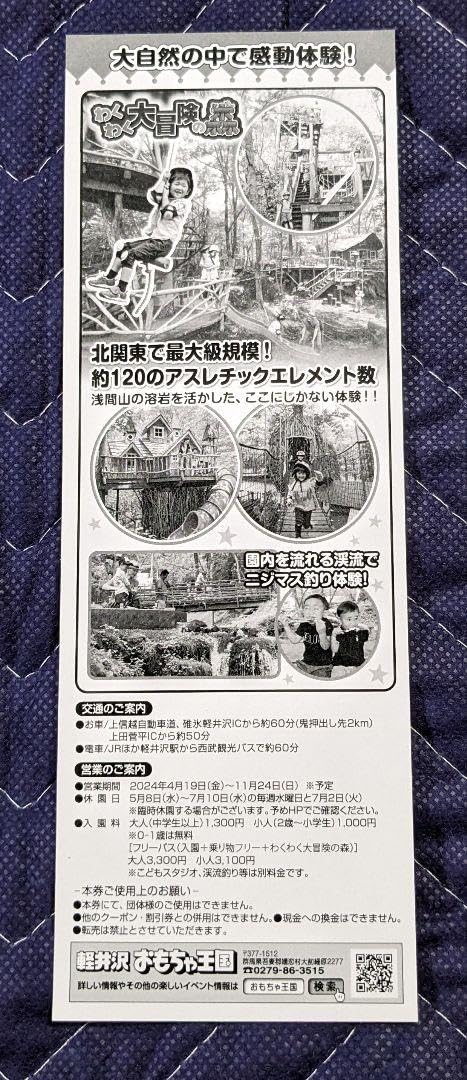Amazon.co.jp: 軽井沢 おもちゃ王国 入園 券3枚 : おもちゃ