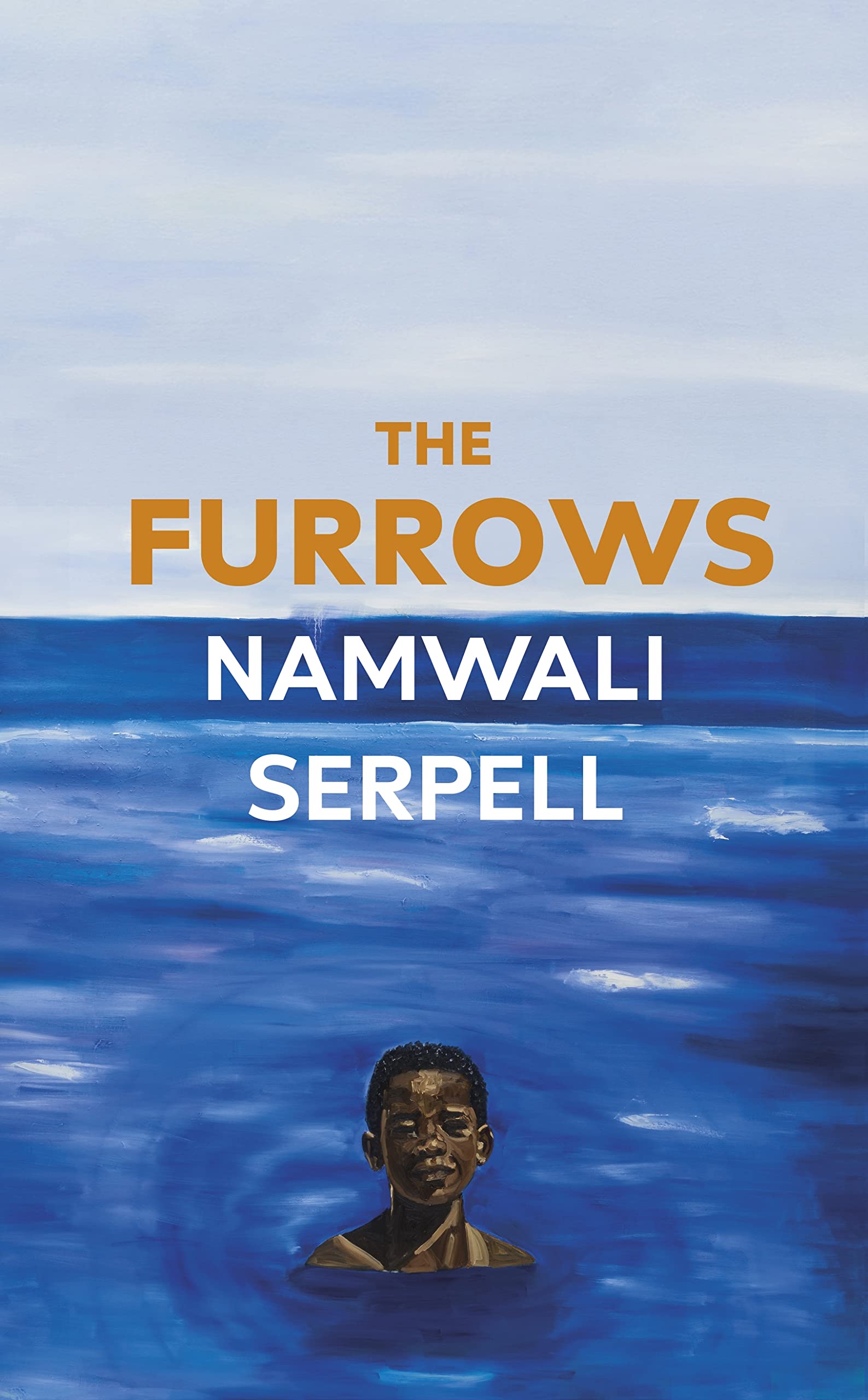 Buy The Furrows: From the Prize-winning author of The Old Drift โ BookShops.in