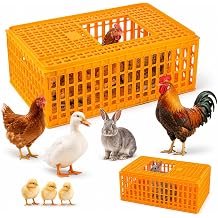 1 Pcs Poultry Carrier Crates, 29 x 21 x 13 in | Sturdy ventilated plastic transport boxes for chickens, ducks, geese, birds, farms, backyard coops, and hatcheries