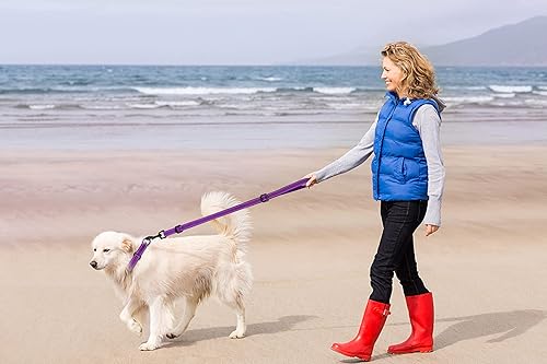 Miniatura 2 de Martingale - Juego de collar y correa para perro, collares Martingala reflectantes para perros pequeños, medianos y grandes (morado y S)