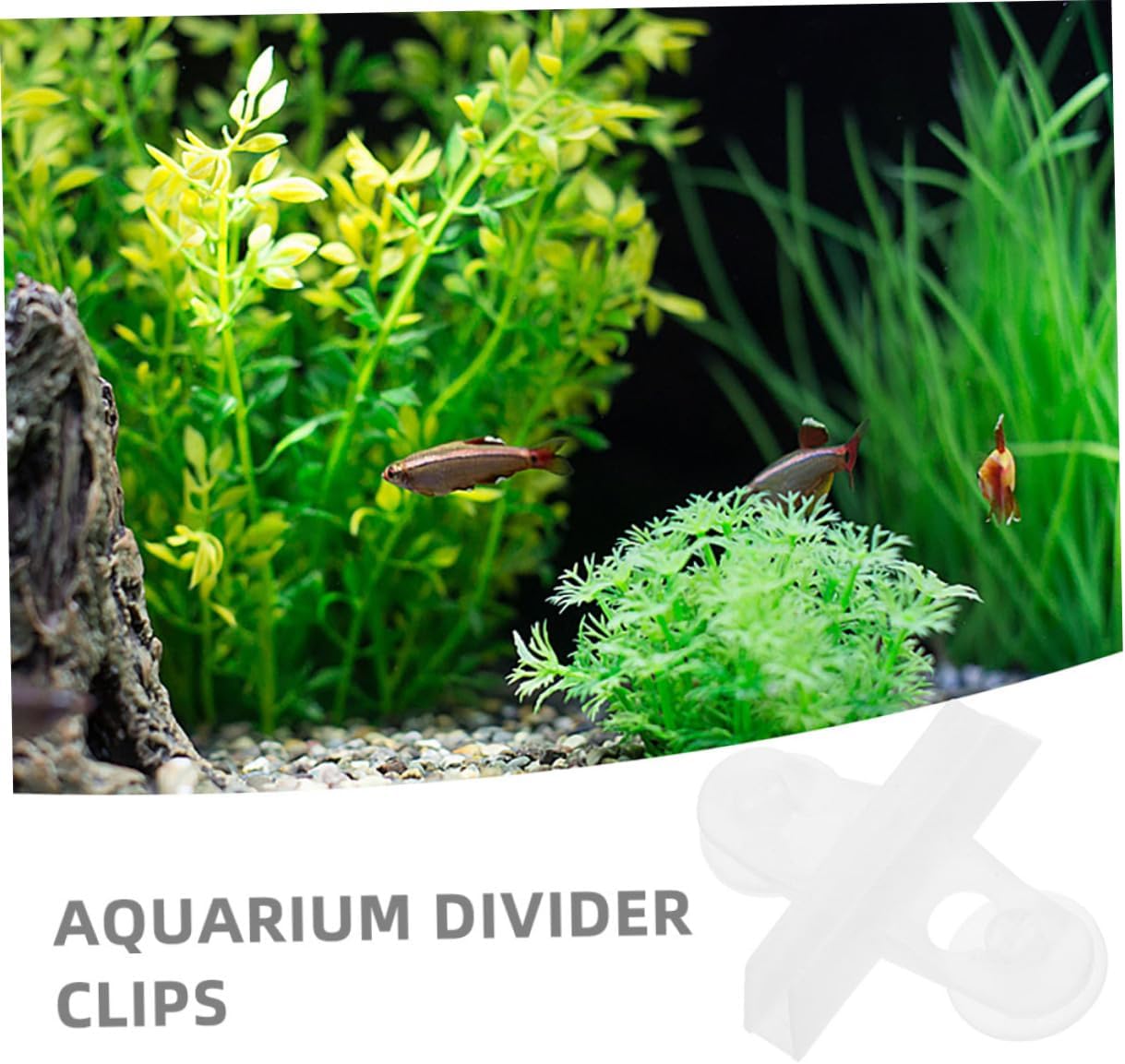 Toddmomy 20pcs Fish Tank Partition Clip Aquarium Decoration Egg Crate Diffuser Aquarium Air Air Pump Divider Fish Tank Isolation Board Aquarium Grid Divider Tray Cup Abs White