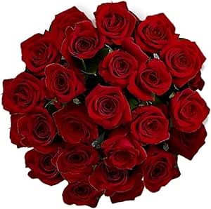 Amazon.com : Farm Direct Fresh Cut Red Roses, 100 Fresh Stems ...