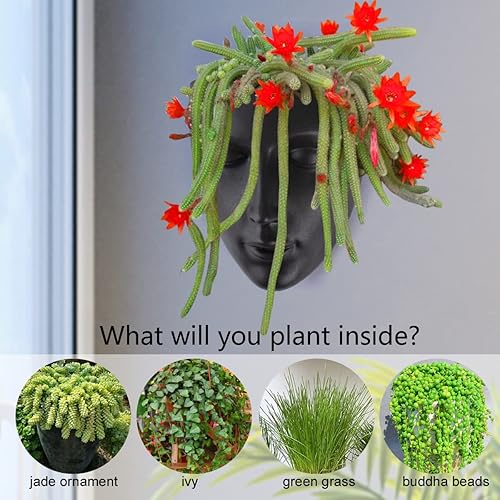 Miniatura 7 de Notakia Face Planter Pot Head Planter Wall Mounted Outdoor Face Planter with Drainage for Cute Plants for Indoor Wall Decor Succulent Cactus Planter