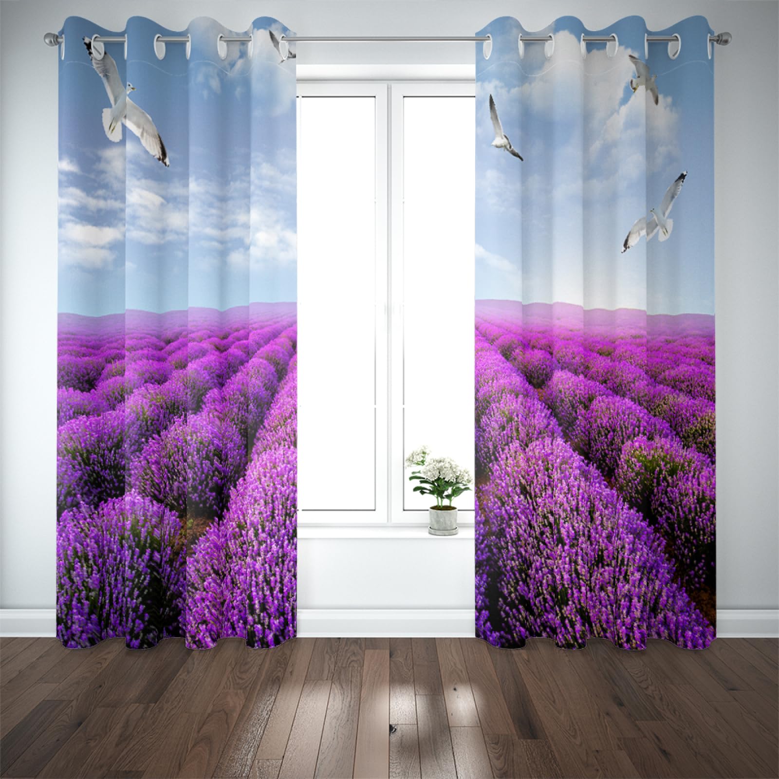 Gardinen Blaue Lila Lavendel Schallschutz Vorhang Blickdicht Verdunklungsvorhänge Polyester Waschbar Thermovorhang Dekoration Vorhänge mit ösen 2 Platten (2x75x166 cm)