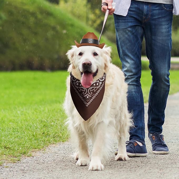 Sombrero Vaquero para Perro Pequeño con Pañuelo - Marrón Talla S miniatura 4