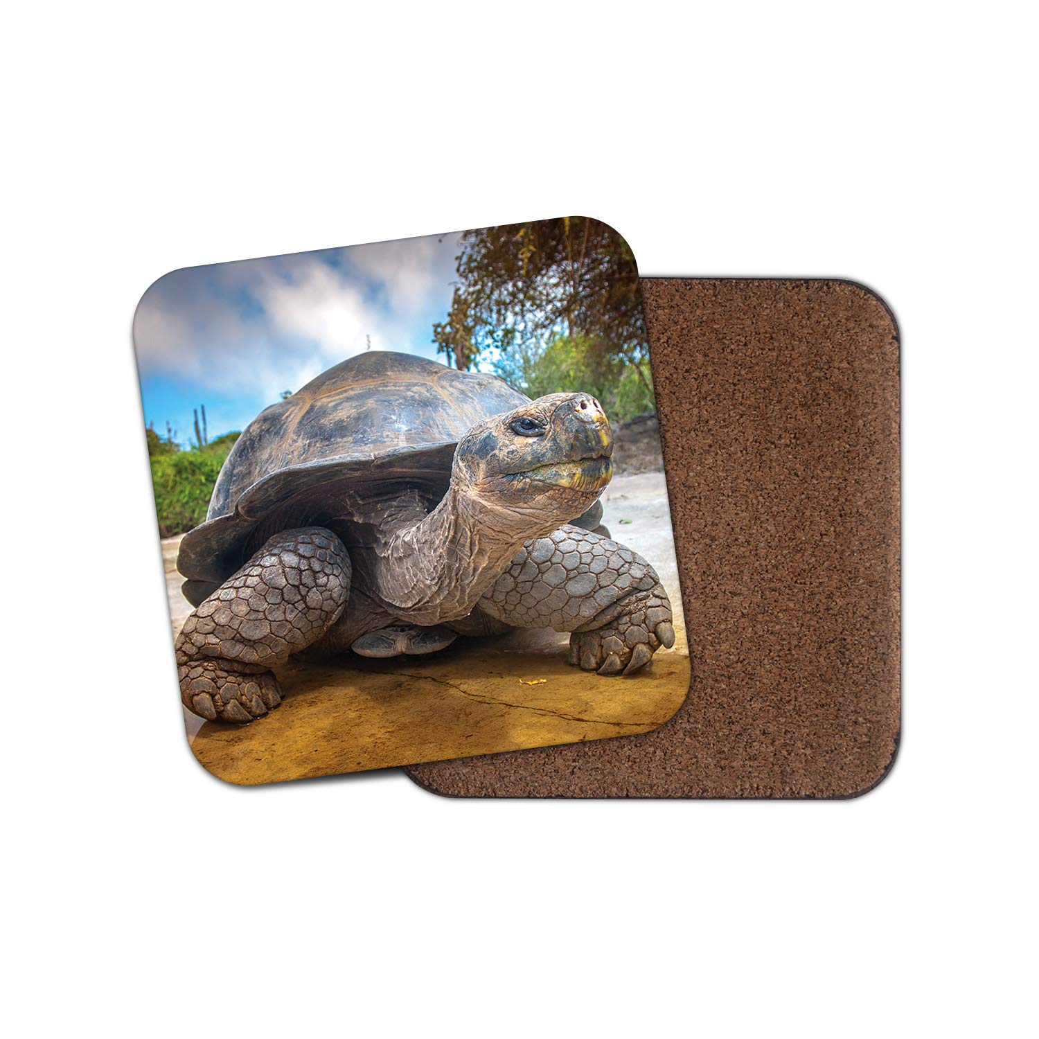 1 x Galapagos Island Turtle Coaster - Tortoise Cute Beach Reptile #15390