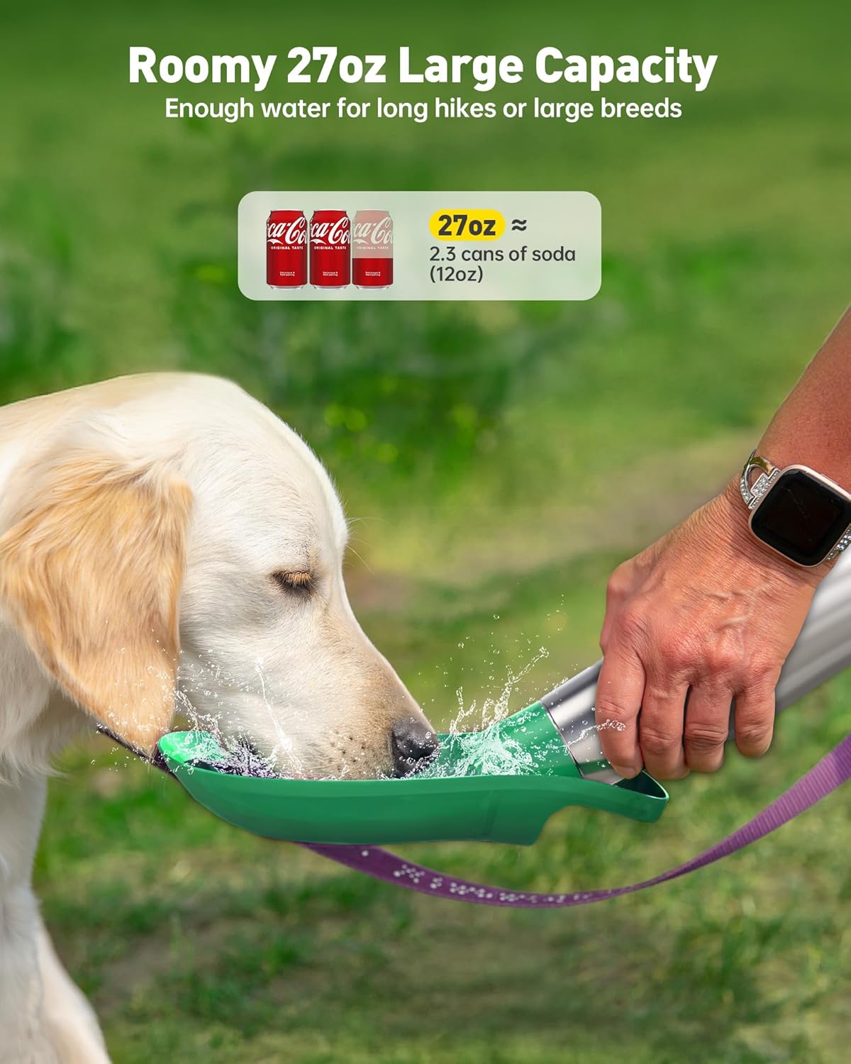 Stainless Steel Dog Water Bottle - 27 oz