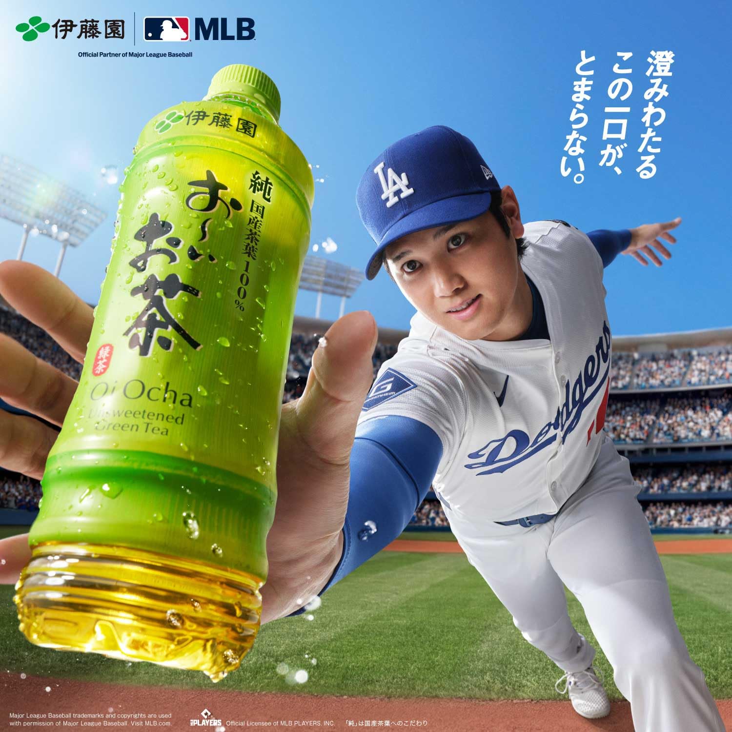 緑茶大好きさん専用画面 Amazon.co.jp: 伊藤園 ラベルレス おーいお茶 緑茶 280ml×24本 : 食品