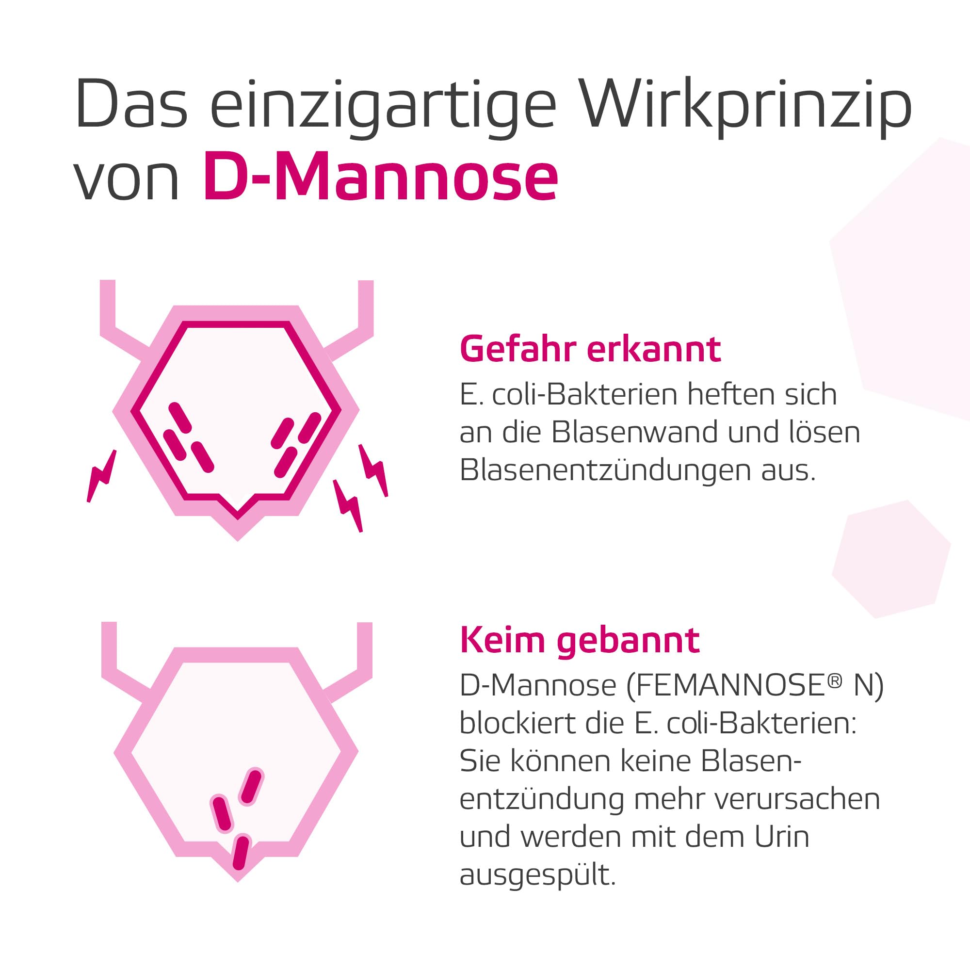 Femannose N – 2 x 30 Trinkgranulat mit je 2000 mg D-Mannose Pulver hochdosiert - zur Prävention & unterstützenden Behandlung von Blasenentzündung und unkomplizierten Harnwegsinfekten – antibiotikafrei