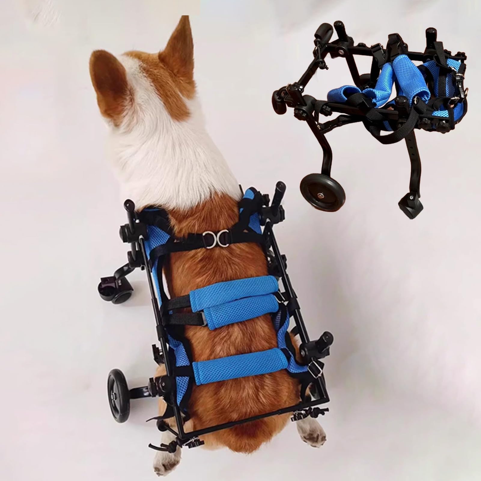 Déambulateur d'assistance pour animaux de taille moyenne et chariot pattes arrières