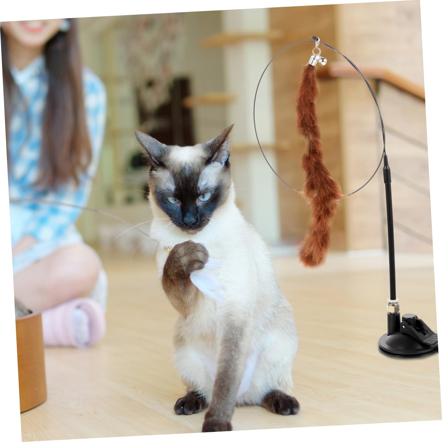 POPETPOP Lot De 4 Jouets Interactifs pour Chats en Peluche pour Jouer Seul 6 Pièces X 4