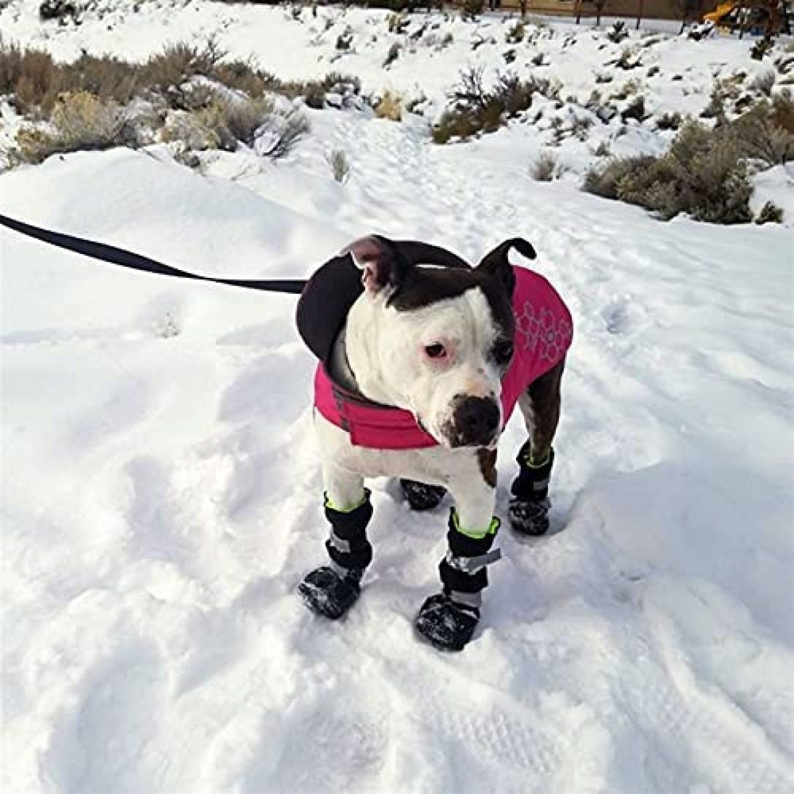 Chaussures pour Chiens De Taille Moyenne Imperméables Bottes d'hiver en Plein Air Chaussons pour Chiens Chauds Longs Antidérapants Chaussures De Pluie Chien Durable,Noir,L 80,Constructive23